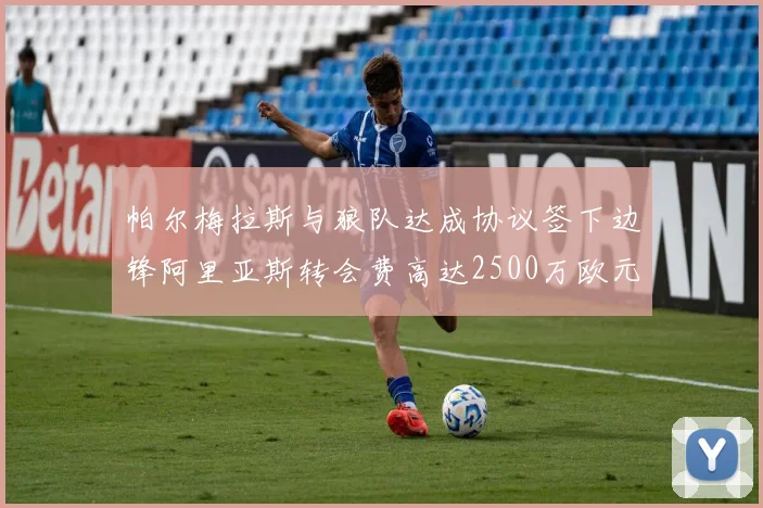 帕尔梅拉斯与狼队达成协议签下边锋阿里亚斯转会费高达2500万欧元