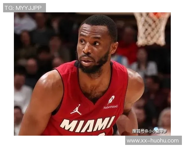 南海岸数学家维金斯高效表现助力球队防守贡献显著